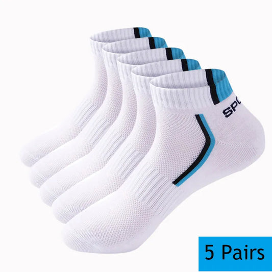 10 Pieces 5Pair/lot Summer Cotton Short Socks - Eklat
