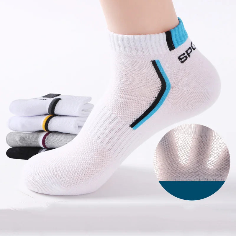 10 Pieces 5Pair/lot Summer Cotton Short Socks - Eklat