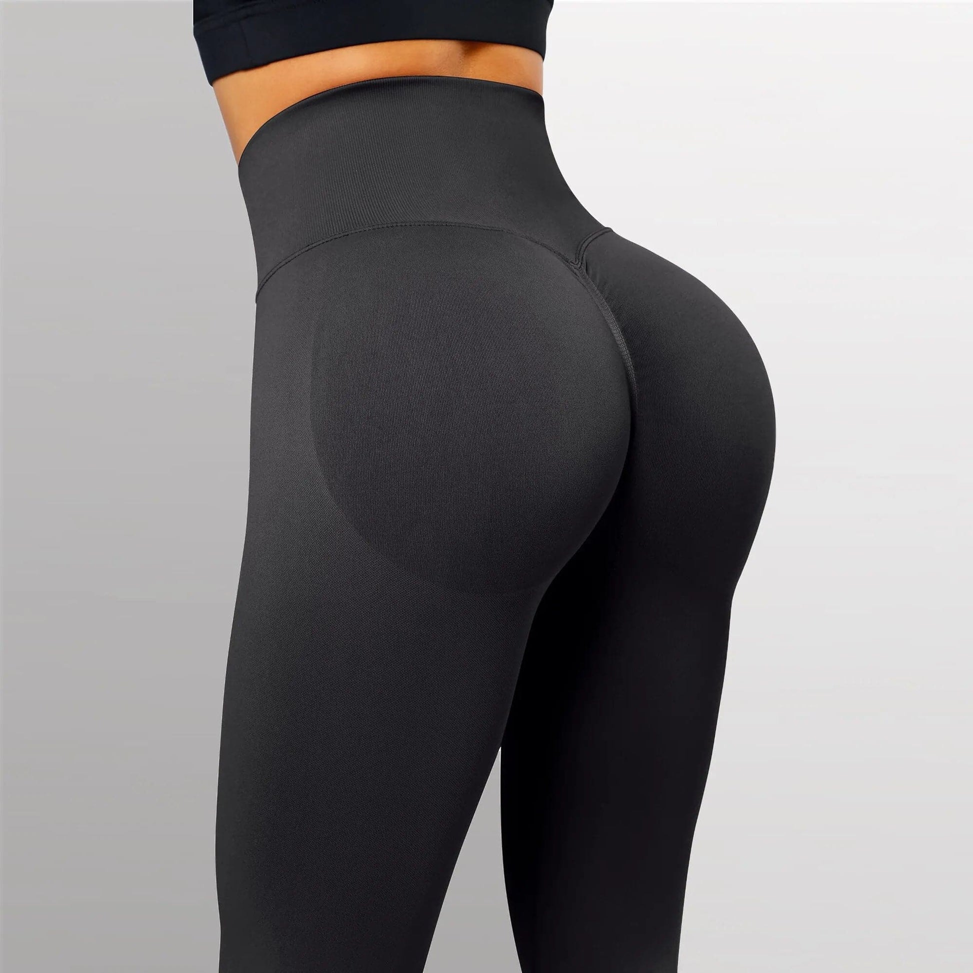Fitness GYM Pants - Eklat