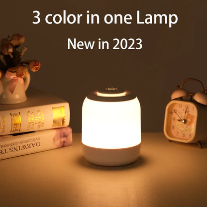 Touch Lamp Night Light - Eklat