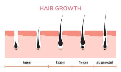 Hair Growth Oil for Black Women & Men - Eklat