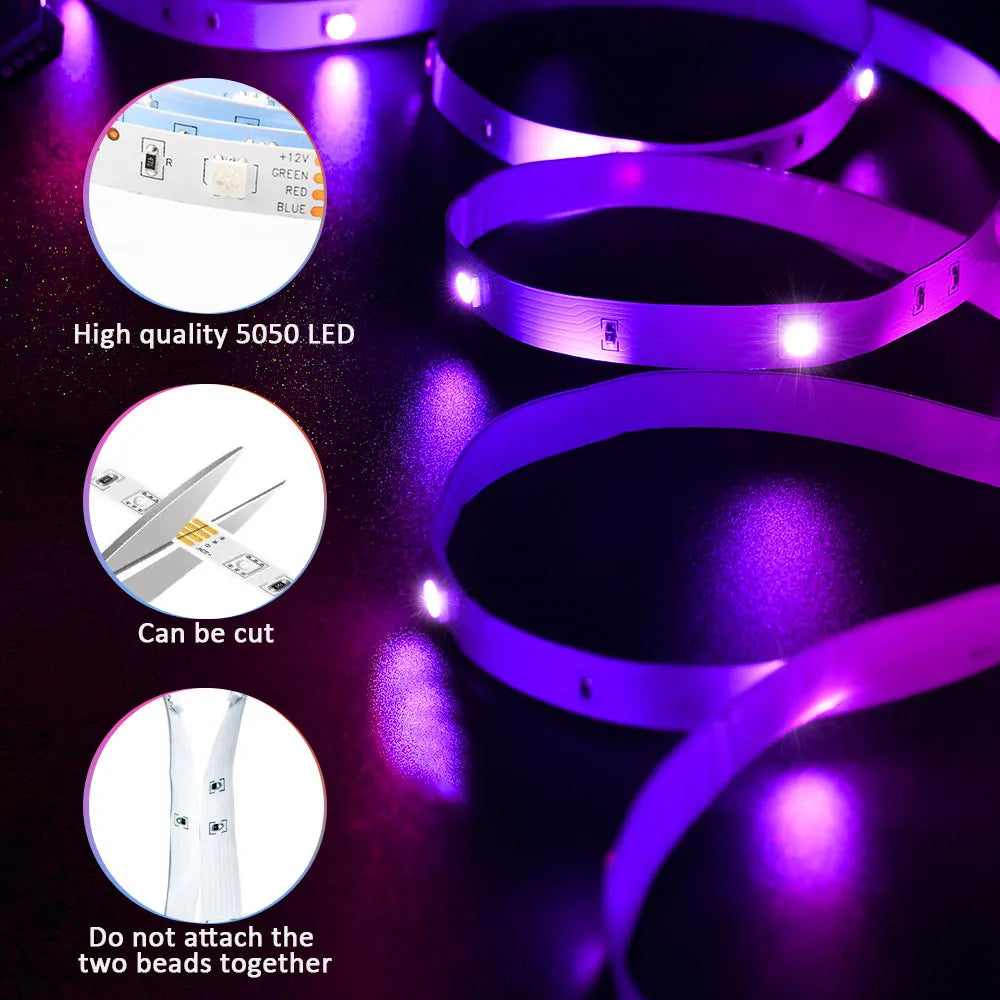 (EU Plug) LED Strip Light - Eklat