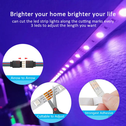 (EU Plug) LED Strip Light - Eklat